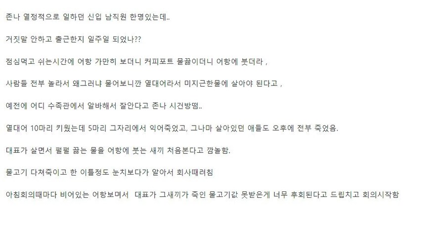 물고기 전문가 신입남직원.jpg_2.png