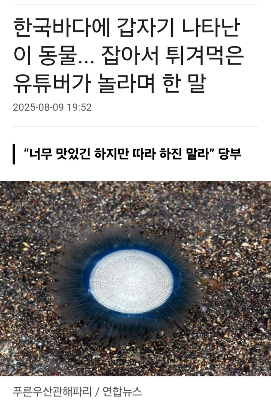 아이언맨이 바다에 떨구고간 아크리액터_1.jpg