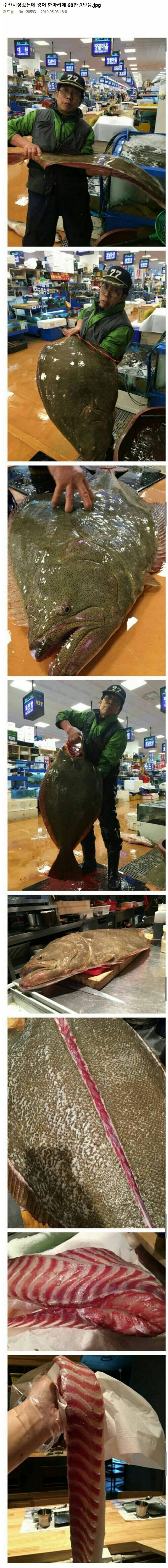 광어 한마리에 68만원_1.png