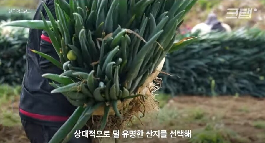 맥도날드가 소외된 지방경제 되살리고 있다함_2.jpg