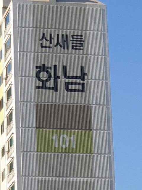 도시 소음공해에 화가 난 새들_1.jpg