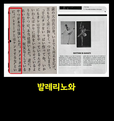 최배달 조차 싸우길 꺼렸다는 격투종_18.jpg