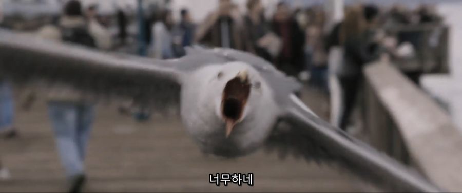 [MCU]개미를 먹어버리다_7.jpg