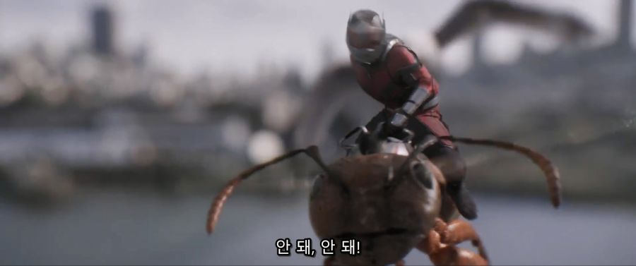 [MCU]개미를 먹어버리다_12.jpg