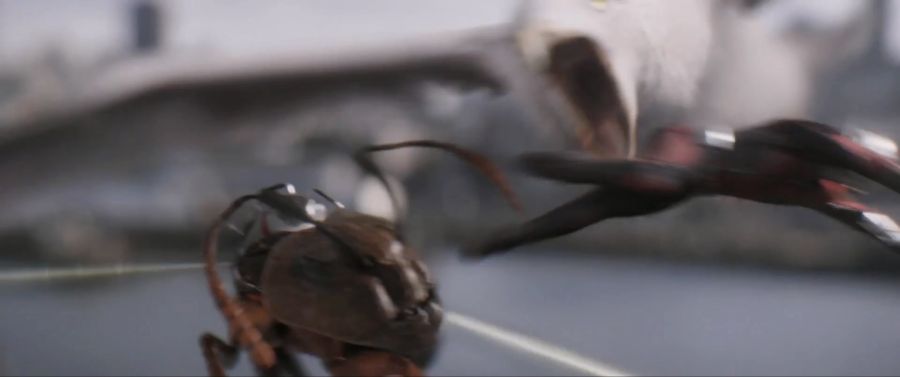[MCU]개미를 먹어버리다_13.jpg
