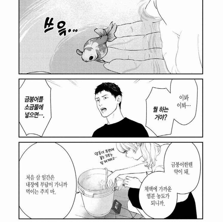 금붕어를 소금물에 넣는 이유_2.jpg