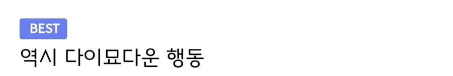 호죠 정벌을 마치고 오사카영지로 돌아온 다이묘의 개선_2.jpg