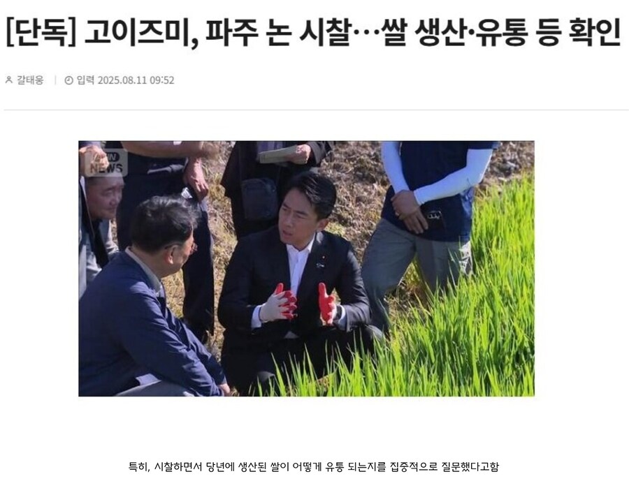 편쿨섹이 일본에서 인기를 얻는 이유_2.jpg