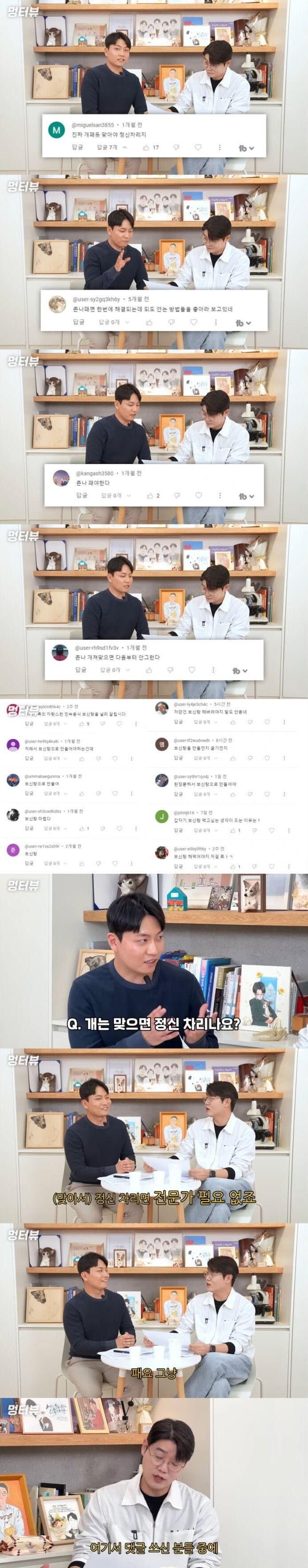 개를 패면 정신차리냐에 대한 전문가의 답변_1.jpg