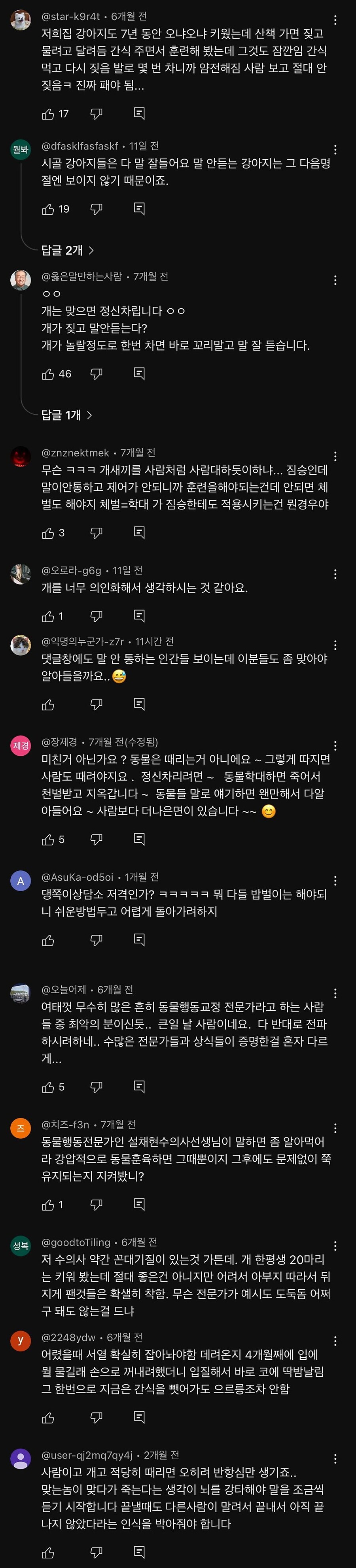 개를 패면 정신차리냐에 대한 전문가의 답변_4.jpg