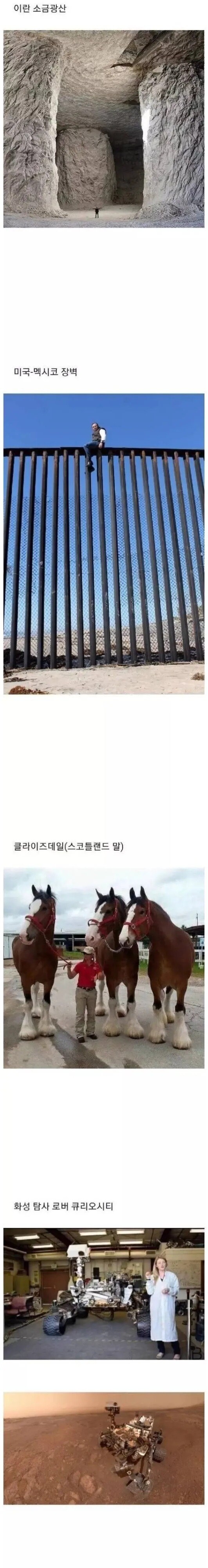 실제로 보면 생각보다 큰 것들_1.jpg
