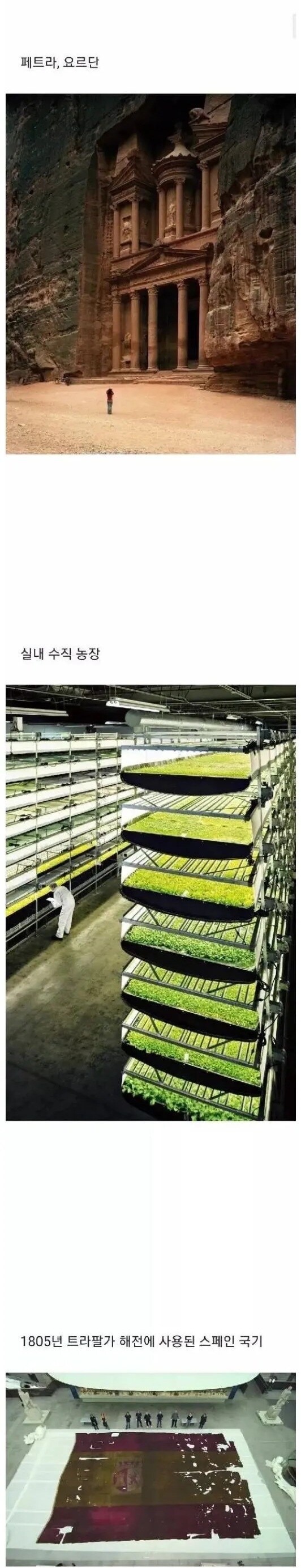 실제로 보면 생각보다 큰 것들_3.jpg