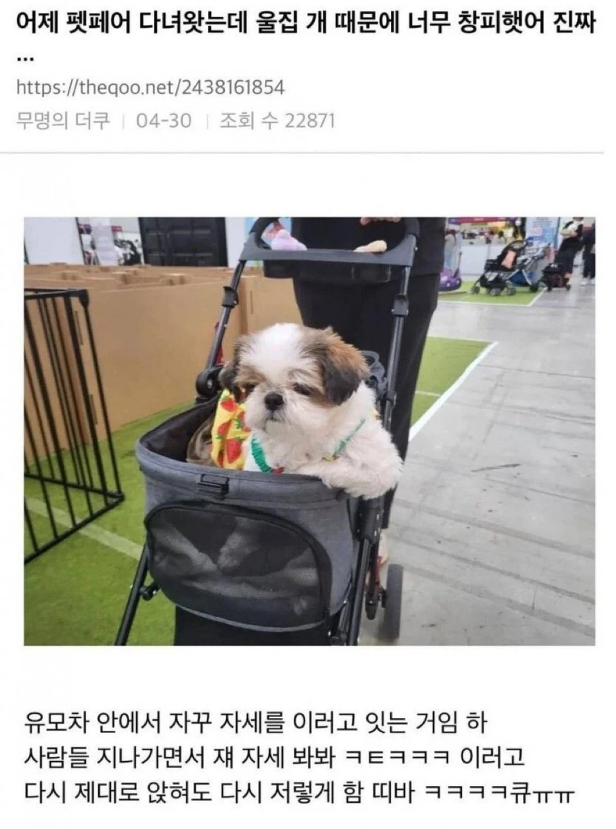 자기집 개 때문에 창피했다는 사람.jpg_1.webp