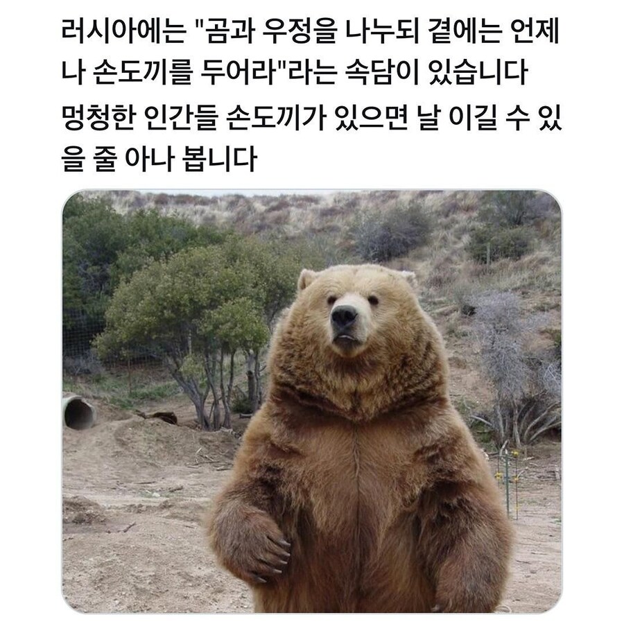 러시아의 고전 속담 jpg._1.jpg