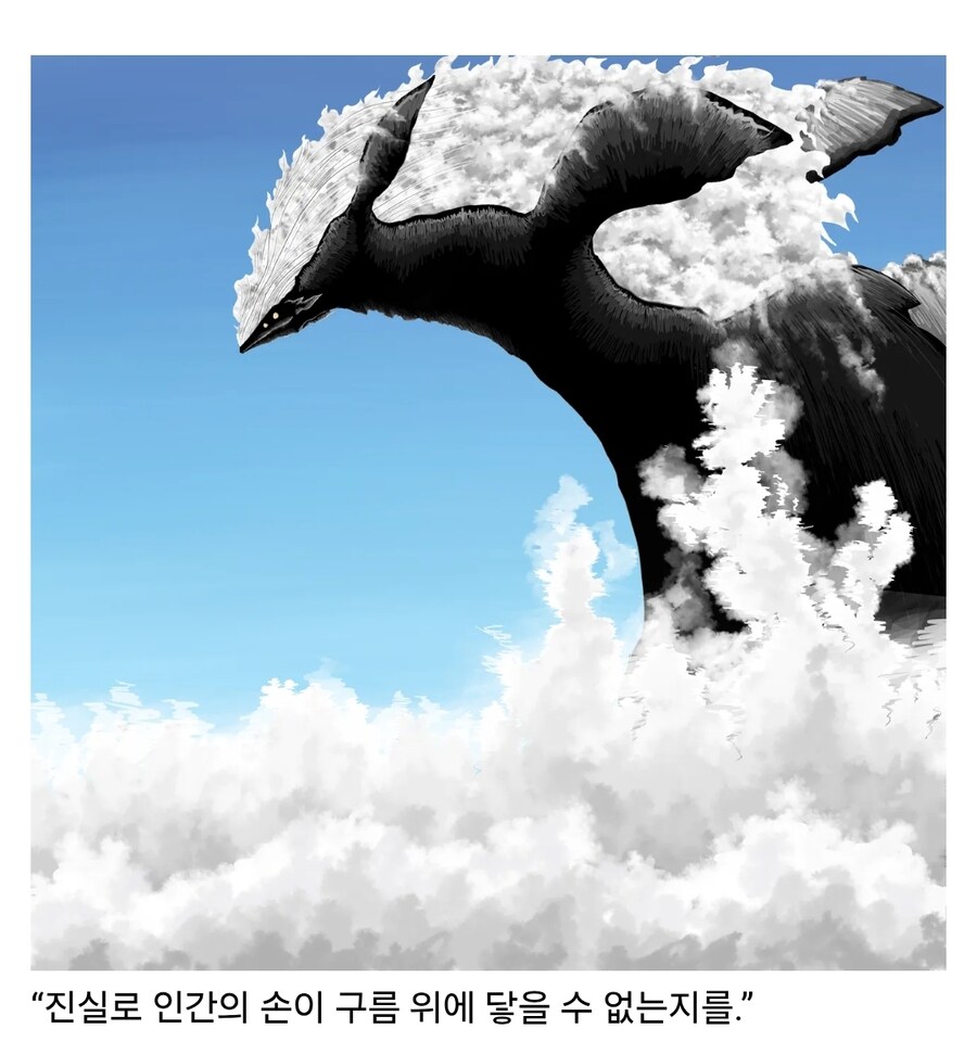 하늘치의 림버스식 해석_2.jpg