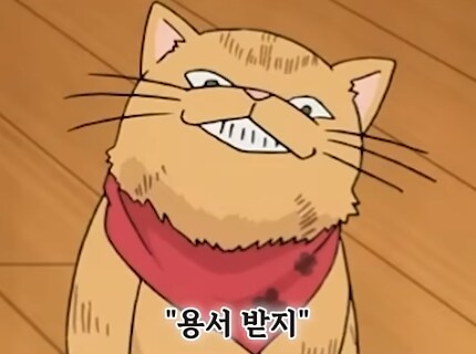 고양이가 얼마나 귀엽냐 하면은_4.png