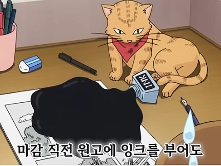 고양이가 얼마나 귀엽냐 하면은_7.png