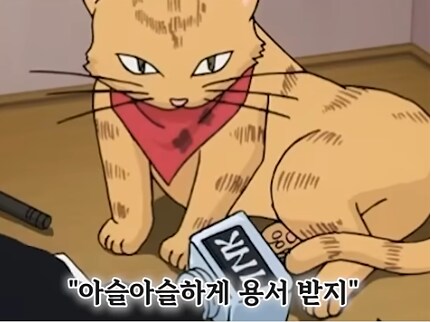고양이가 얼마나 귀엽냐 하면은_8.png