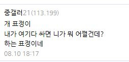 맡아주기로한 강아지 때문에 빡친다는 디시인_3.jpg