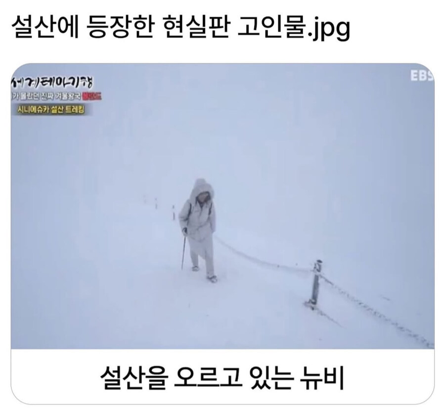 설산에서 만난 고인물_1.jpg