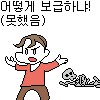 고대사에서 백만대군 동원설 믿는애들은 보급은 조상님이 해주시냐ㅋㅋㅋㅋㅋ_2.png