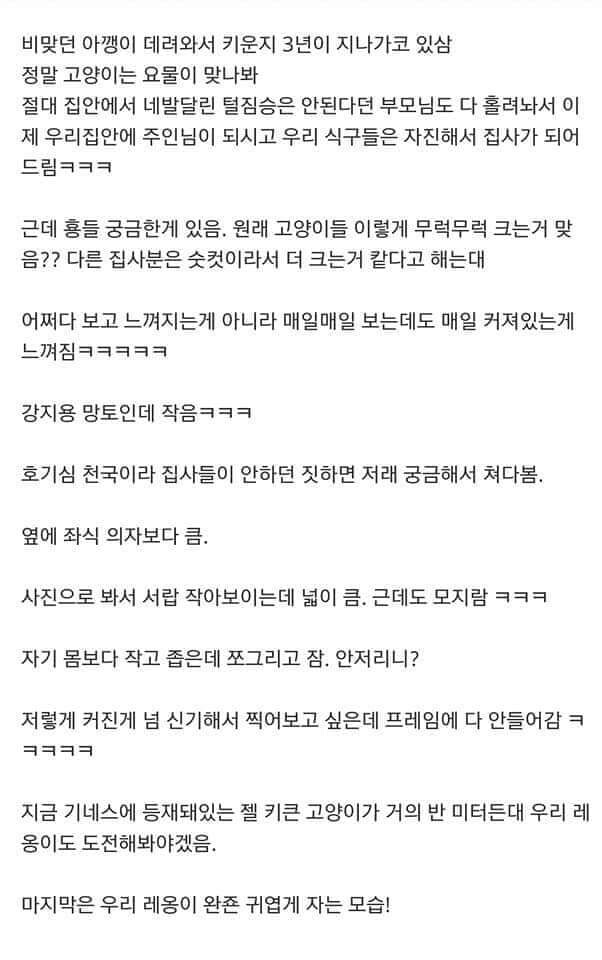고양이 확대 혐의가 있는 디씨인.JPG_7.jpg