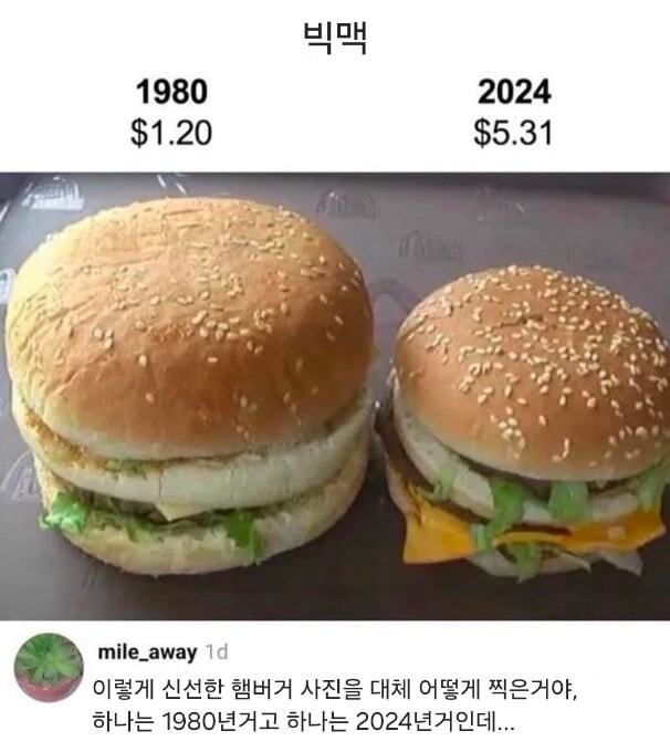 1980 vs 2024 빅맥 비교_1.jpg