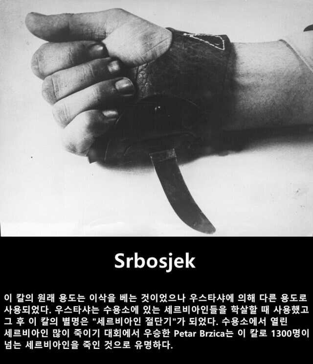세르비아인 많이 죽이기 대회_1.png