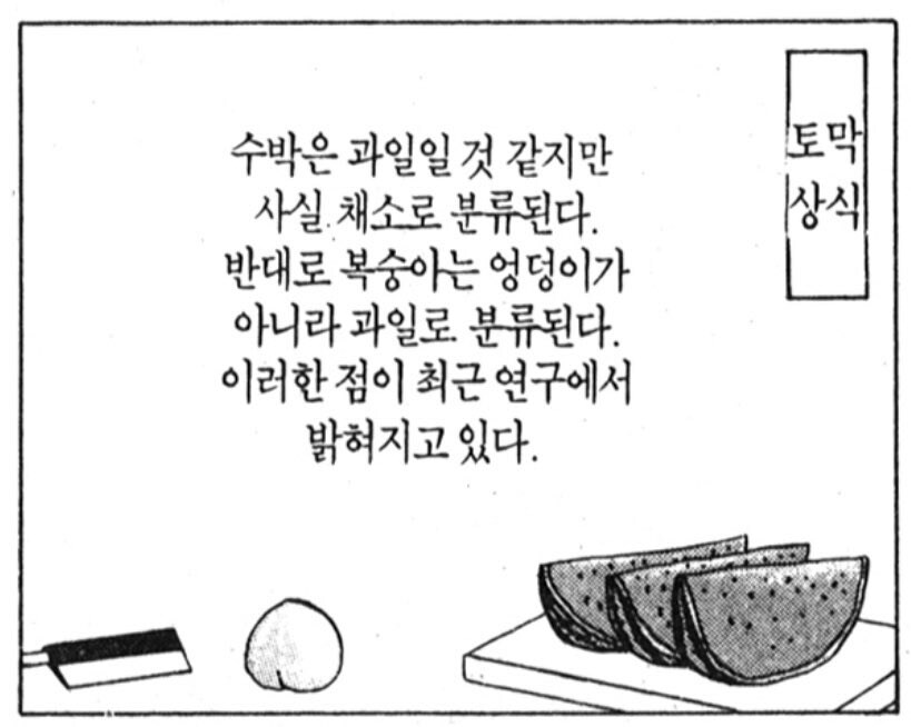 수박과 복숭아 토막 상식_1.jpg