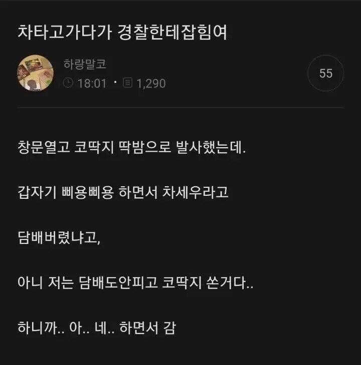 경찰이 붙잡음 ㄷㄷ_1.png