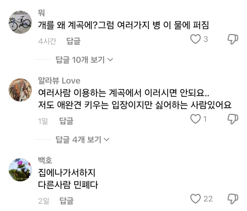 몇몇 사람이 계곡에서 민폐라고 생각하는 것_2.jpg