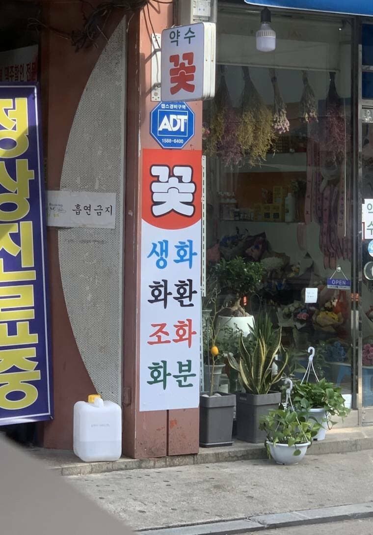 라팔아 팔렸니 아니오_1.png