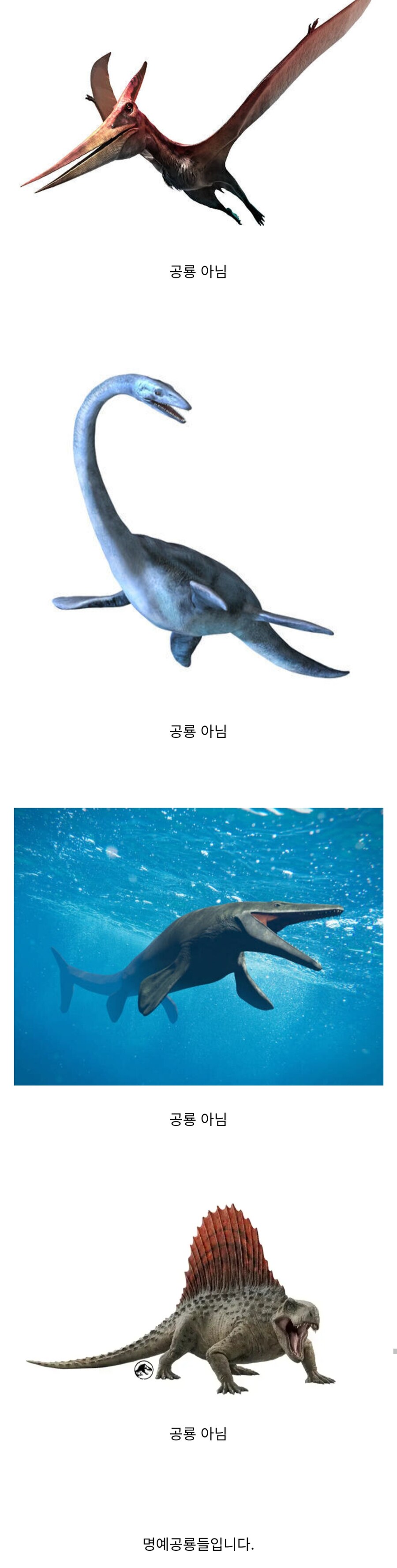 공룡합체로봇들이 흐린 눈 하는 것_7.png