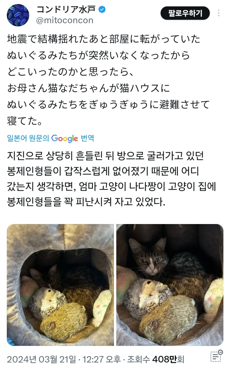 지진 이후 갑자기 사라진 인형들_1.webp