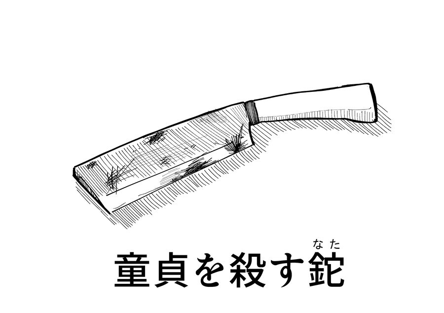 동정을 죽이는 것.jpg_1.jpg