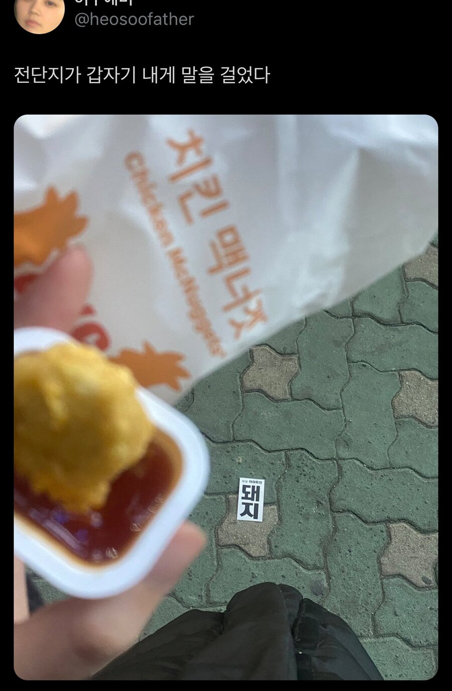 돼지_1.jpg