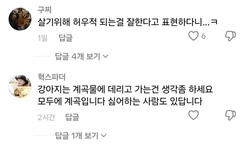 계곡에서 민폐일수도 있다는 사람들_5.jpg
