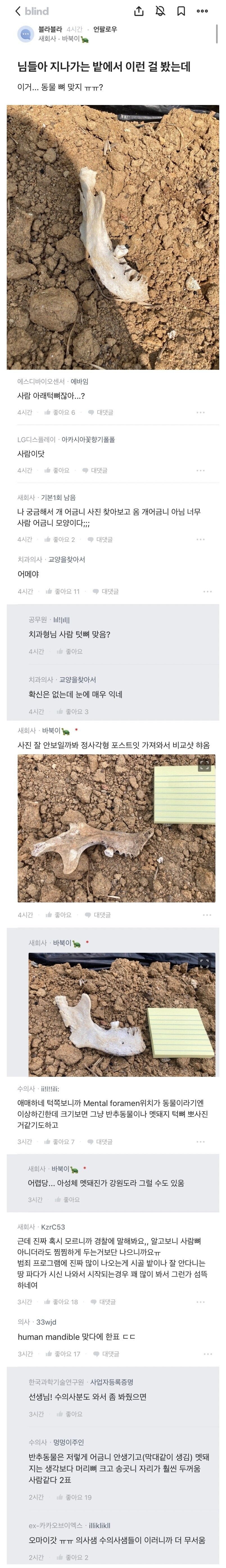 수의사:밭에다 시신 묻는다는게 진짜인갑네잉..._1.jpg