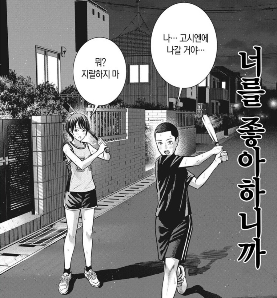 고시엔의 꿈과 현실을 한짤로_1.jpg