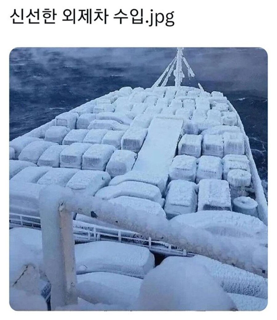 신선 배송 중.jpg_1.jpg