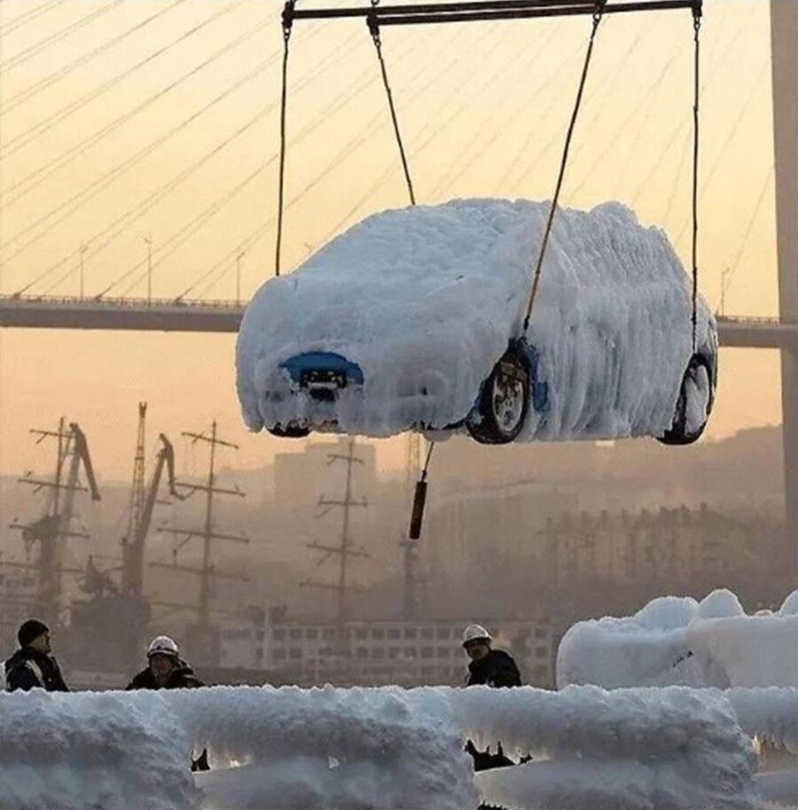 신선 배송 중.jpg_2.jpg