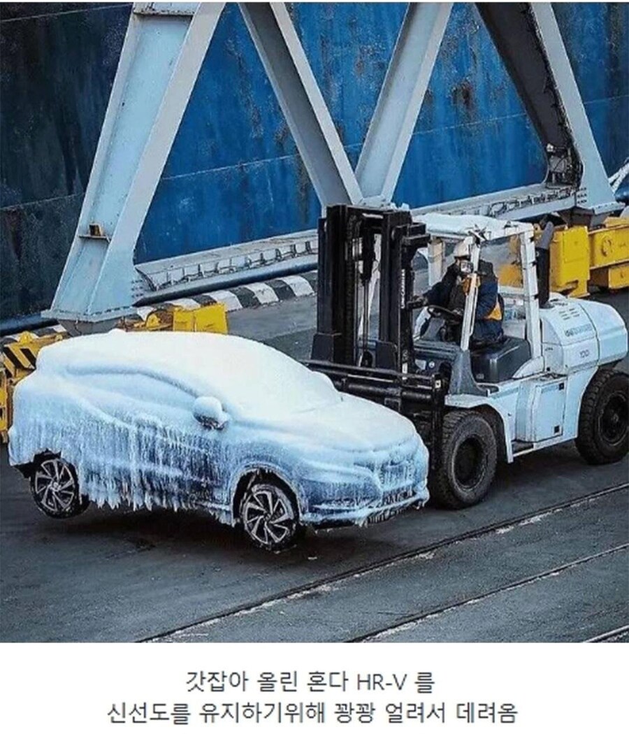 신선 배송 중.jpg_5.jpg