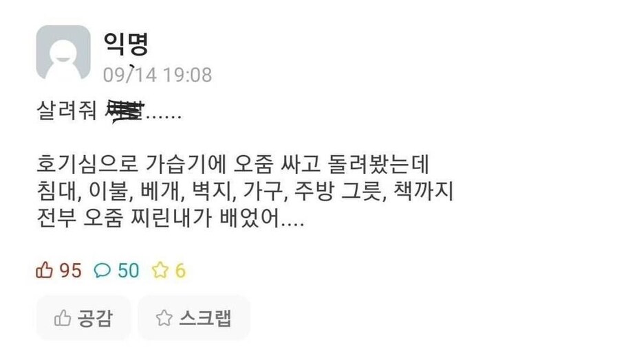 일본 사회인 vs 한국 대학생.jpg_2.jpg