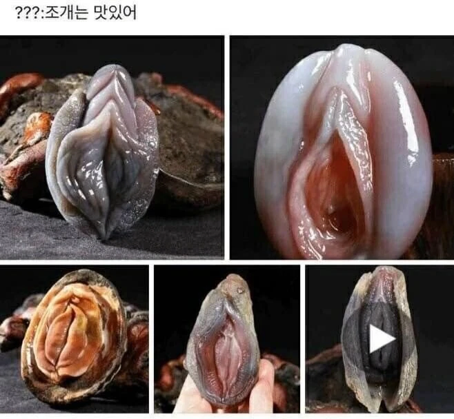 전설의 언니 짬지 몇번?.JPG_1.webp