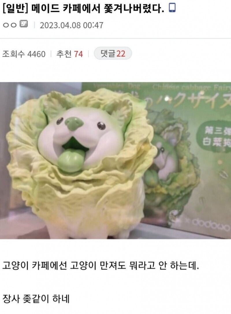 메이드 카페에서 쫓겨난 디시인.jpg_1.jpg