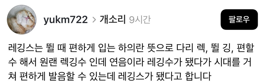 레깅스의 어원.jpg_1.jpg