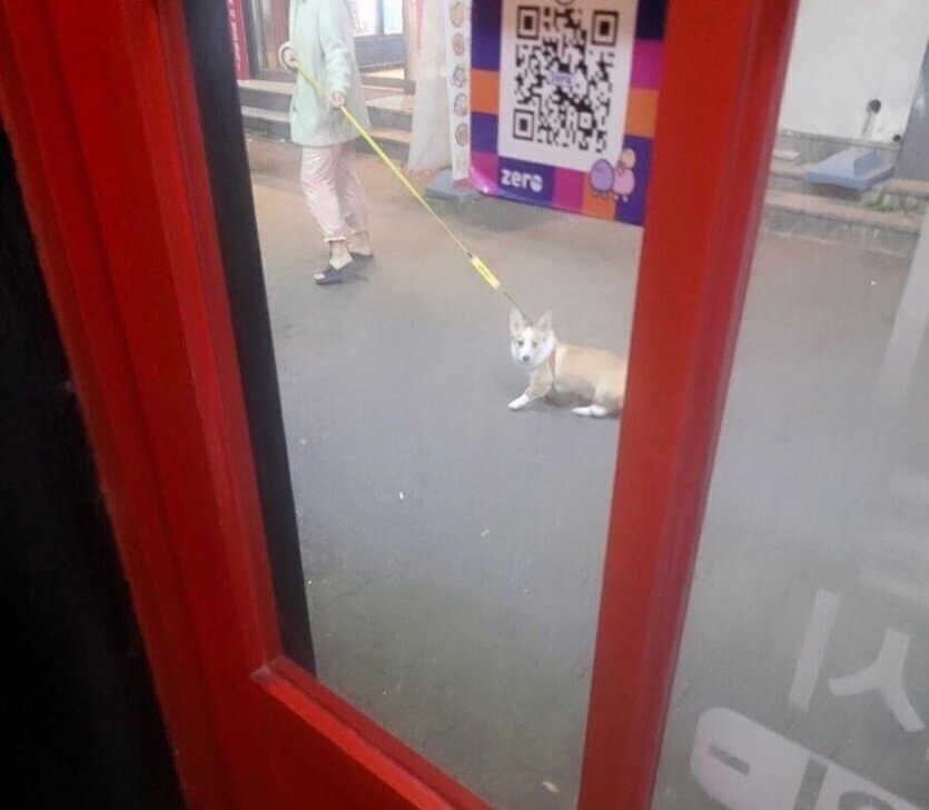 개들 식탐을 무시 못하는 이유_1.jpg