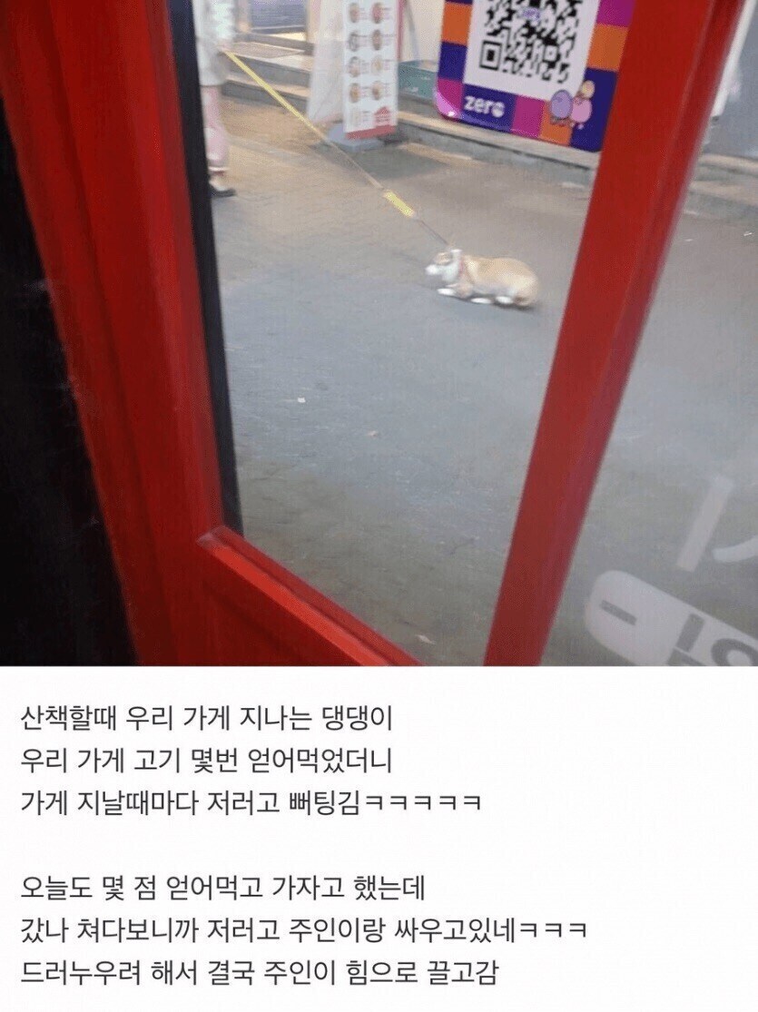 개들 식탐을 무시 못하는 이유_3.jpg