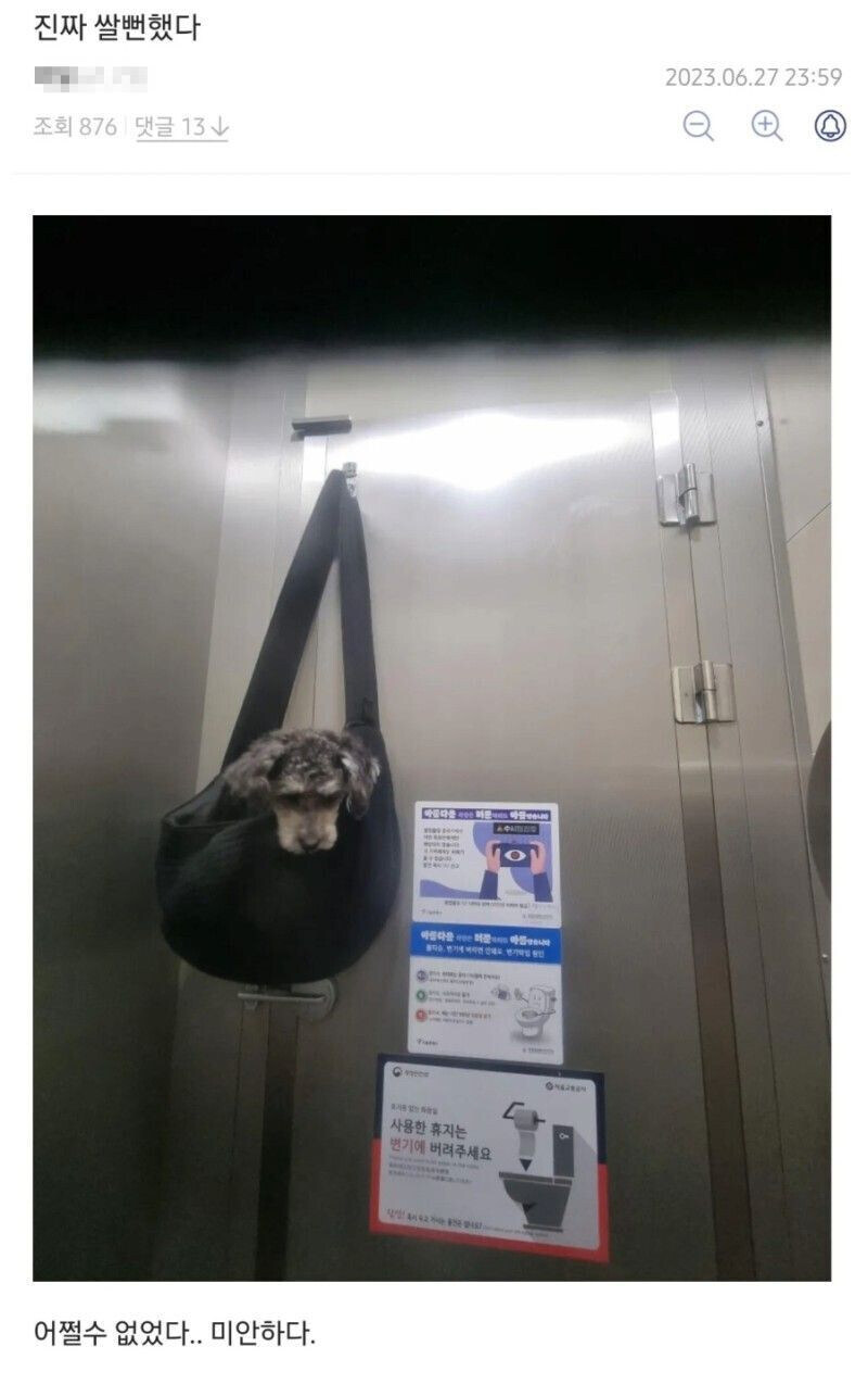 반려견한테 사과하는 주인_1.jpg