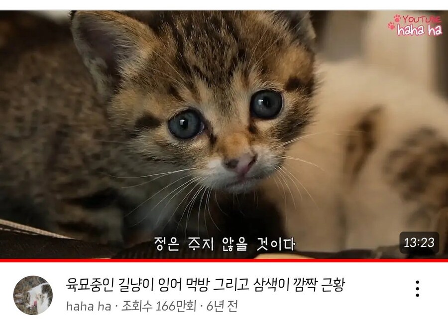 어느 유튜버의 거짓말_1.jpg
